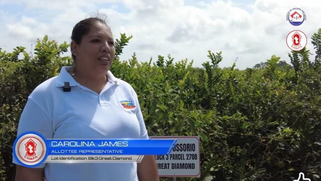 James among scores of others closer to homeownership