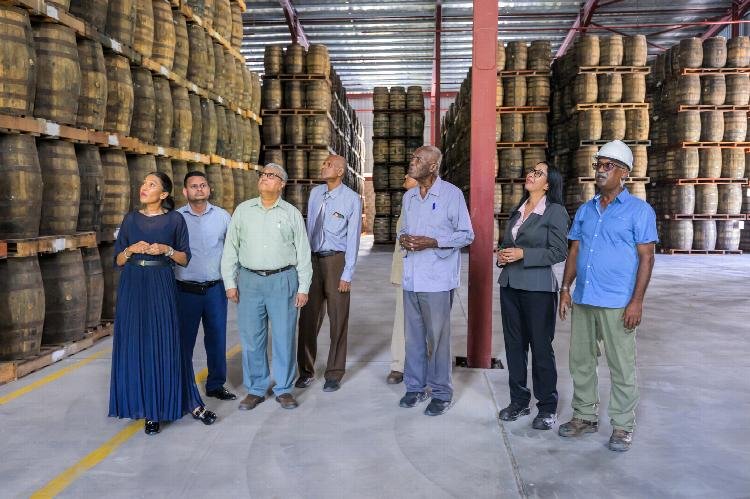 New DDL warehouse