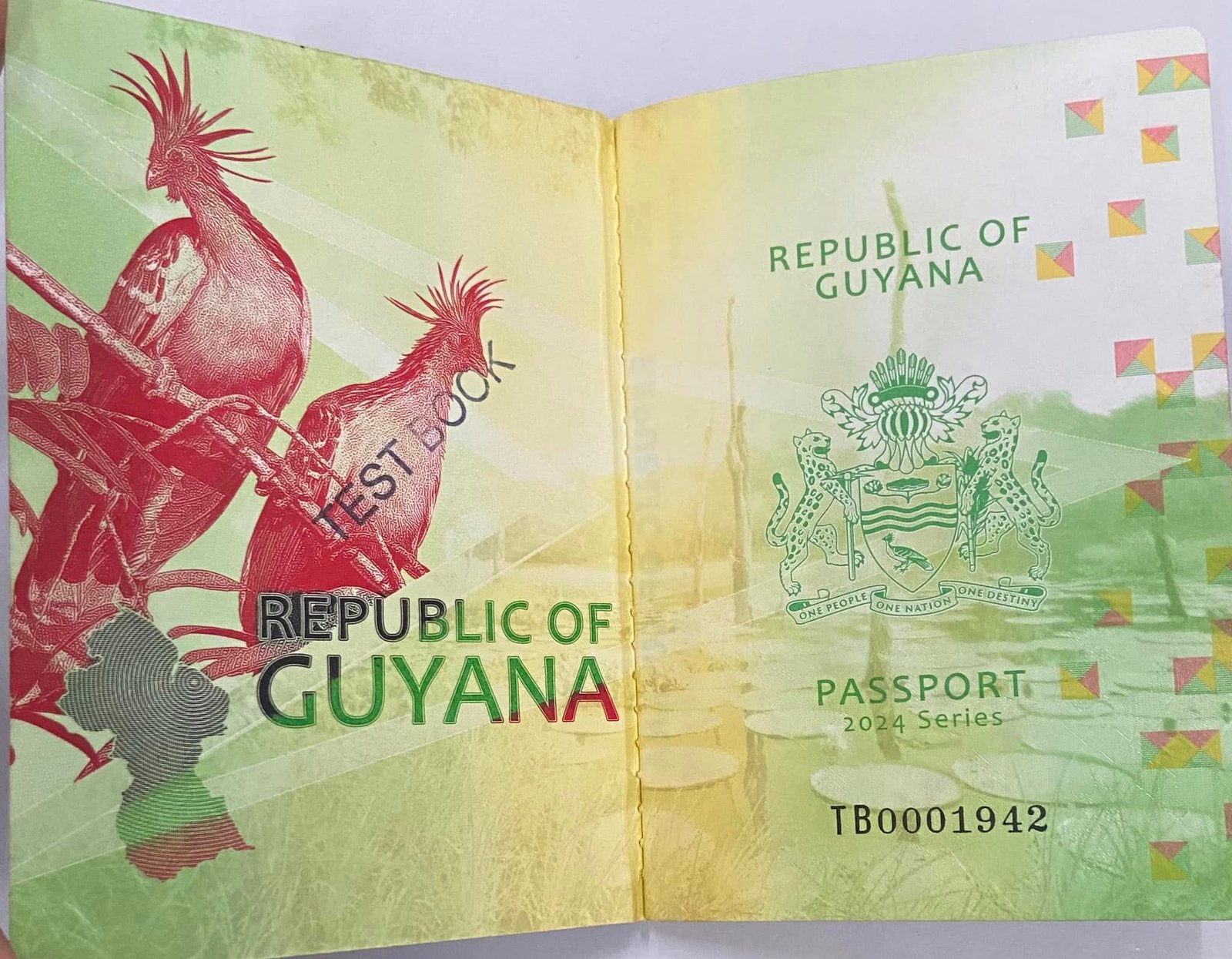 Picture of the new passport