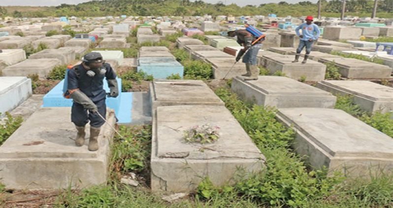 the cemetary