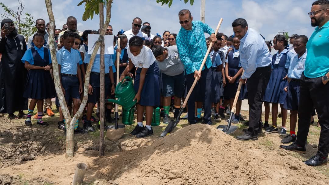 Enhancing green spaces: $600M national tree-planting project launched
