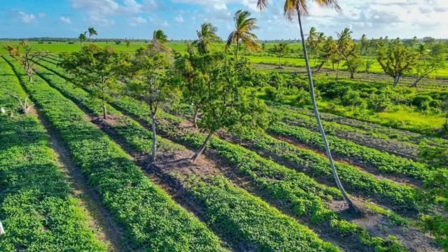 Flood relief projects to open up 85,000 acres of land for small farmers