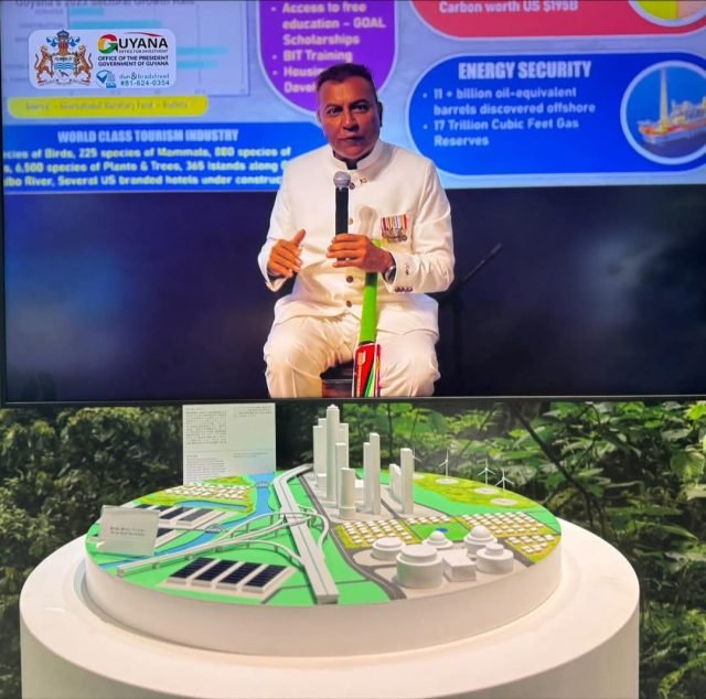 Chief Investment Officer and Agency Head of the Guyana Office for Investment, Dr Peter Ramsaroop