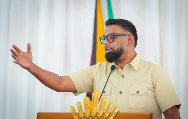 AI a ‘ticking time bomb’ if left unchecked, says President
