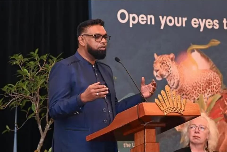 President Dr Irfaan Ali