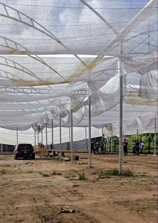 Linden being positioned as hydroponics hub