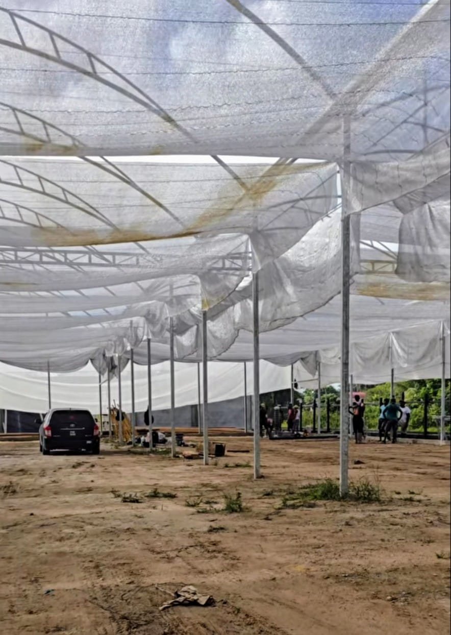 The farm under construction