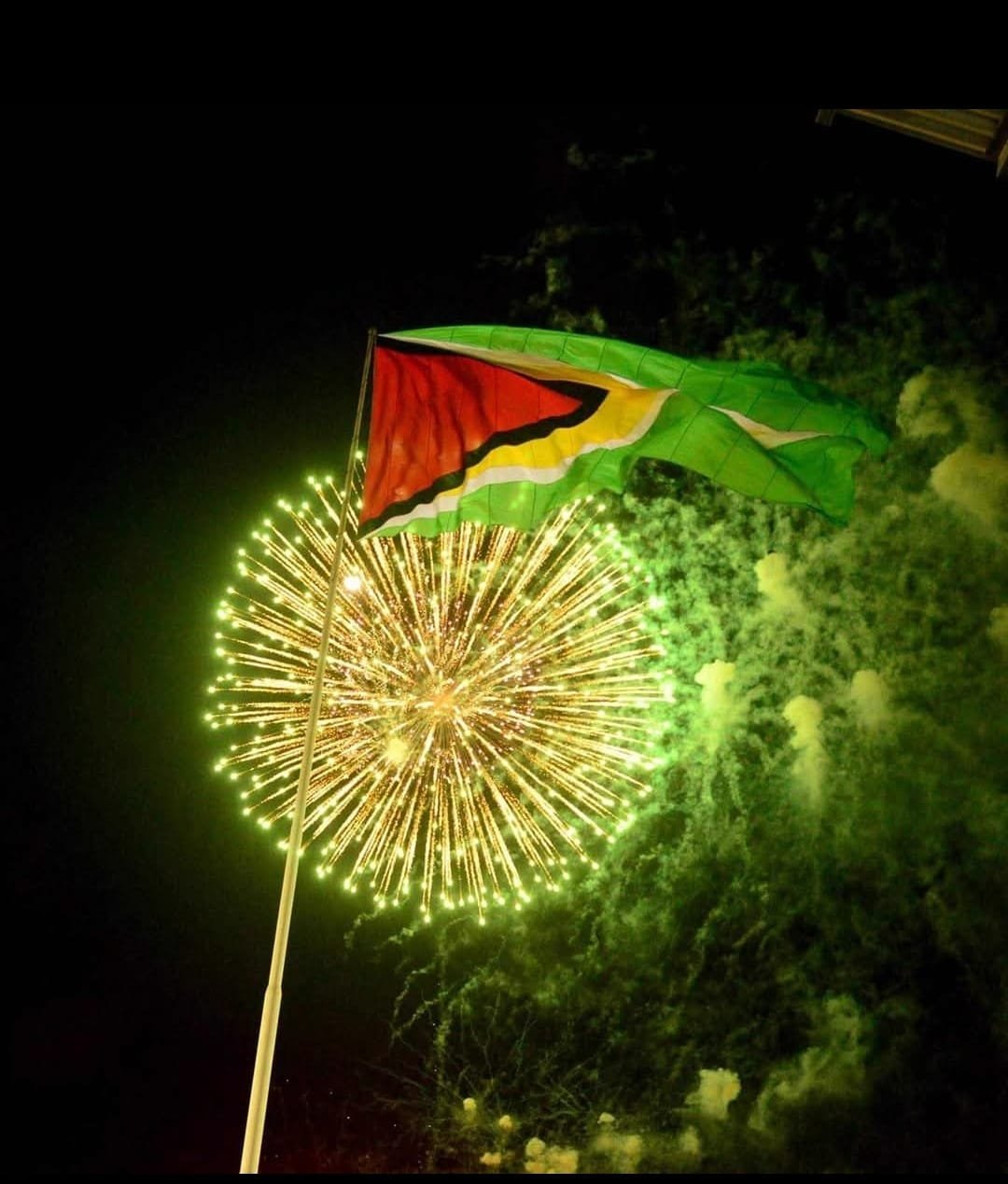 Guyana's Flag