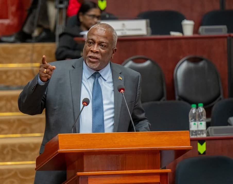 Prime Minister describes Norton’s presentation in House as ‘most unpatriotic’