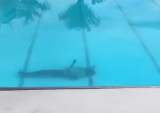 Police investigate suspected drowning at Toucan Mall