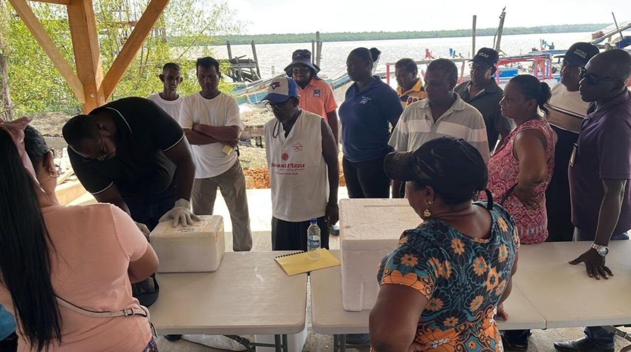 Practical trainers with fishers, vendors and agro-processors of the Three-Door Koker and Rosignol