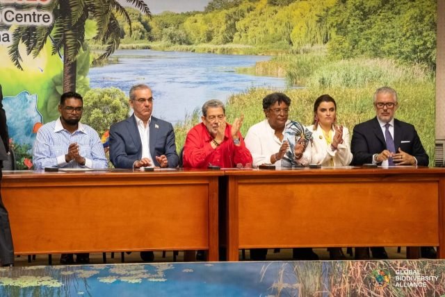 Top political leaders at the summit (Credit: Global Biodiversity Alliance Summit)