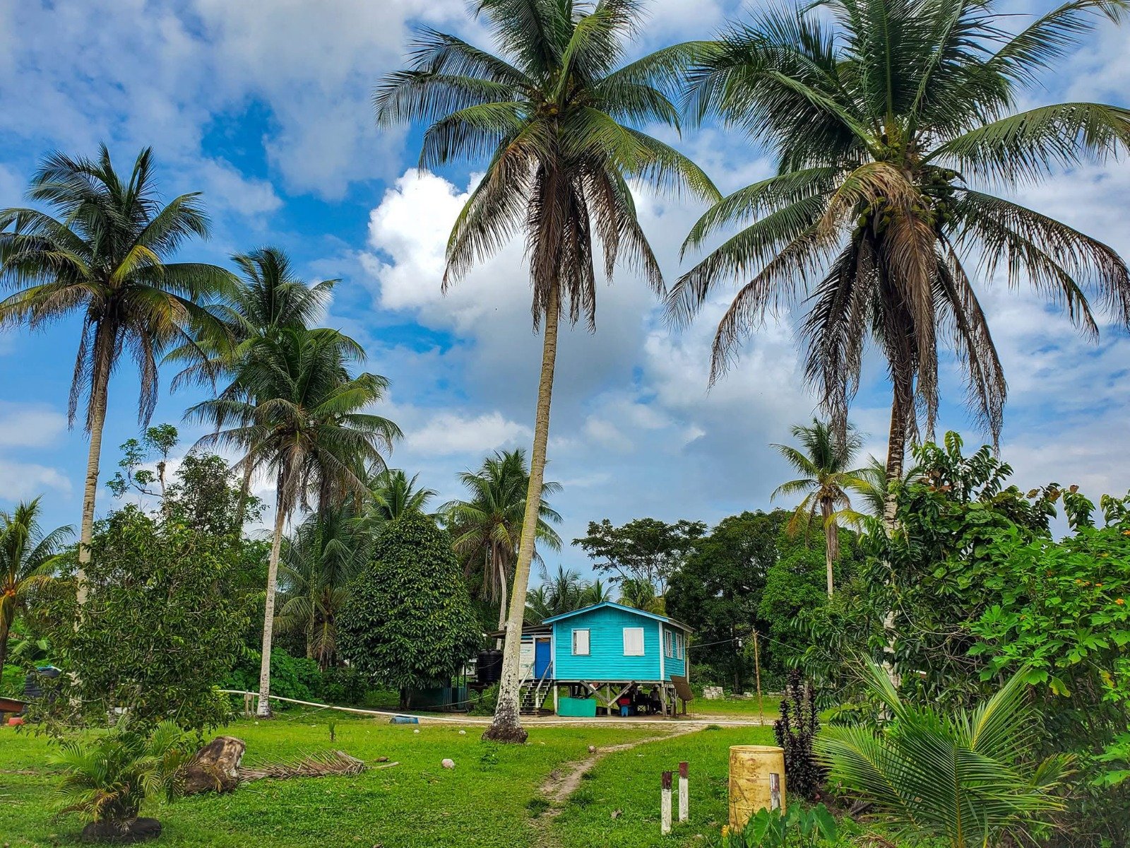 the village of Batavia,region7