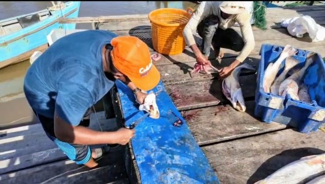 Men cleaning fish on the wharf