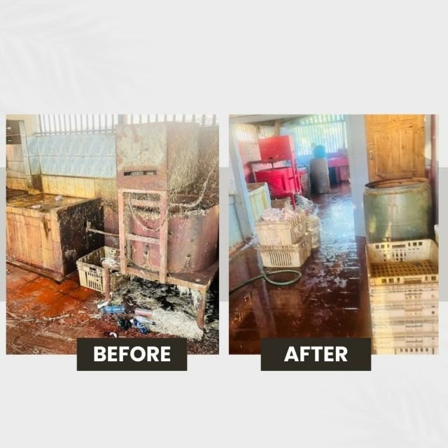 Significant improvements at poultry processing facility following clean-up order