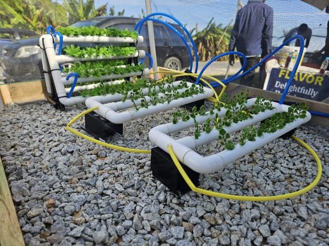 Region Five showcases agricultural innovation at annual model farm open day