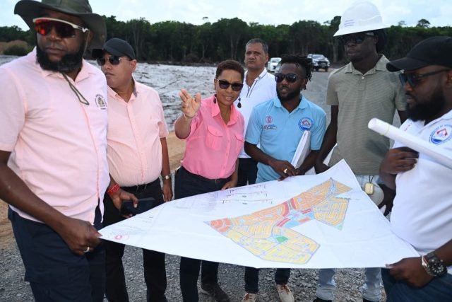 Wismar Housing allottees to identify plots before Christmas