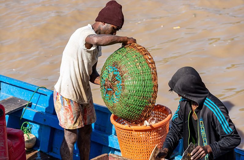 Fisherfolk to receive $150,000 cash grant, tax relief on key materials