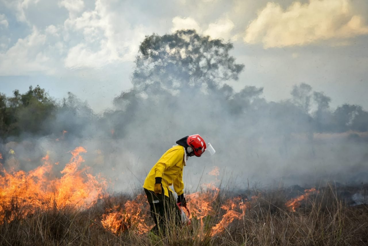 Guyana joins 14 countries to advance integrated fire management