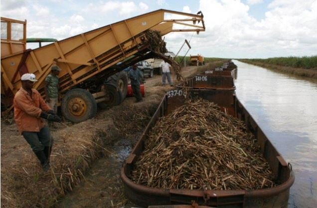 Private sector encouraged to invest more in sugar and energy