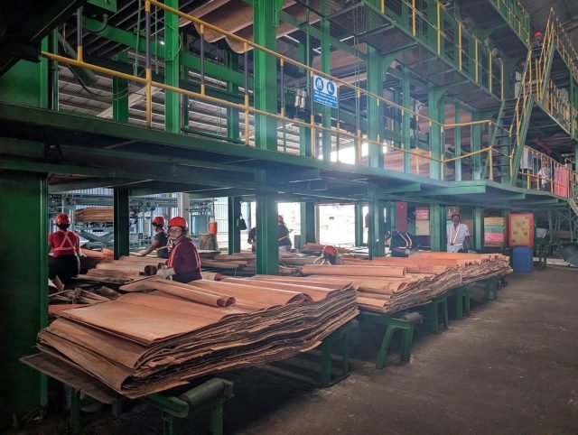 Barama ramps up plywood manufacturing with $1B reinvestment