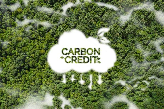 TREES carbon credits hit nine million for 2023