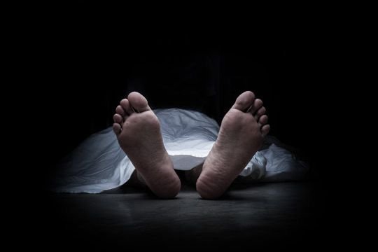Man held for domestic violence dies in custody
