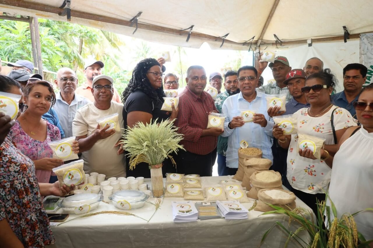 Aromatic rice variety unveiled to boost farmers’ earnings