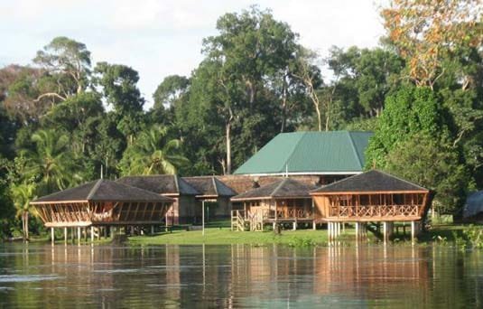 Iwokrama records stronger earnings on rising eco-tourism demand