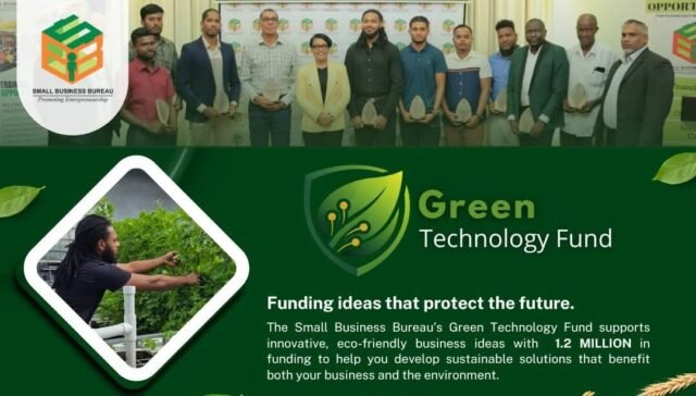 Small Business Bureau offers up to $1.2M grants for eco-friendly innovations
